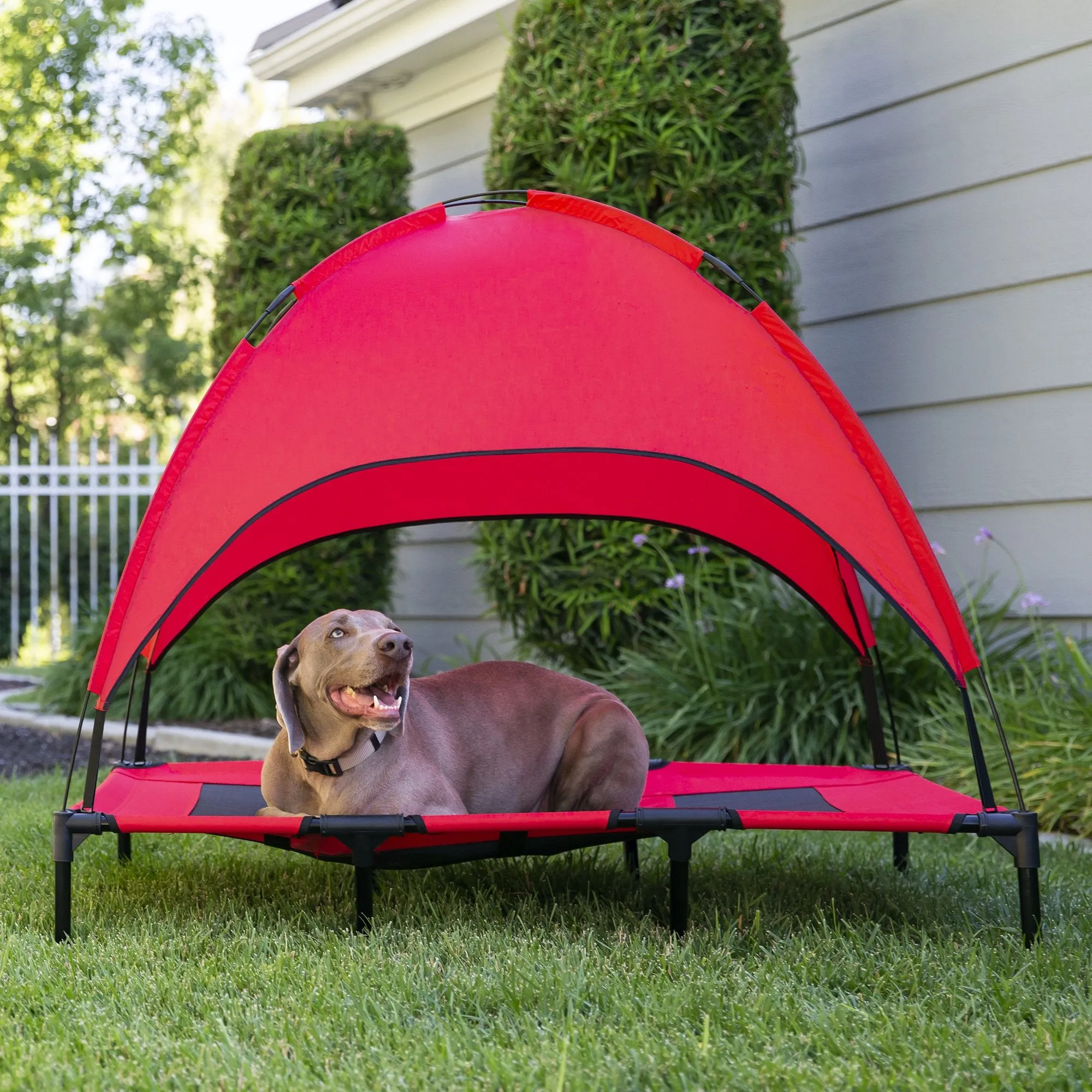 48in Outdoor Raised Cooling Pet Dog Bed w/ Canopy, Travel Bag