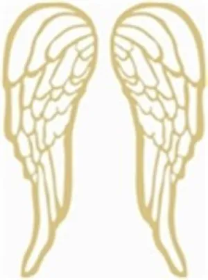 Angel Wings Cutout - Pair