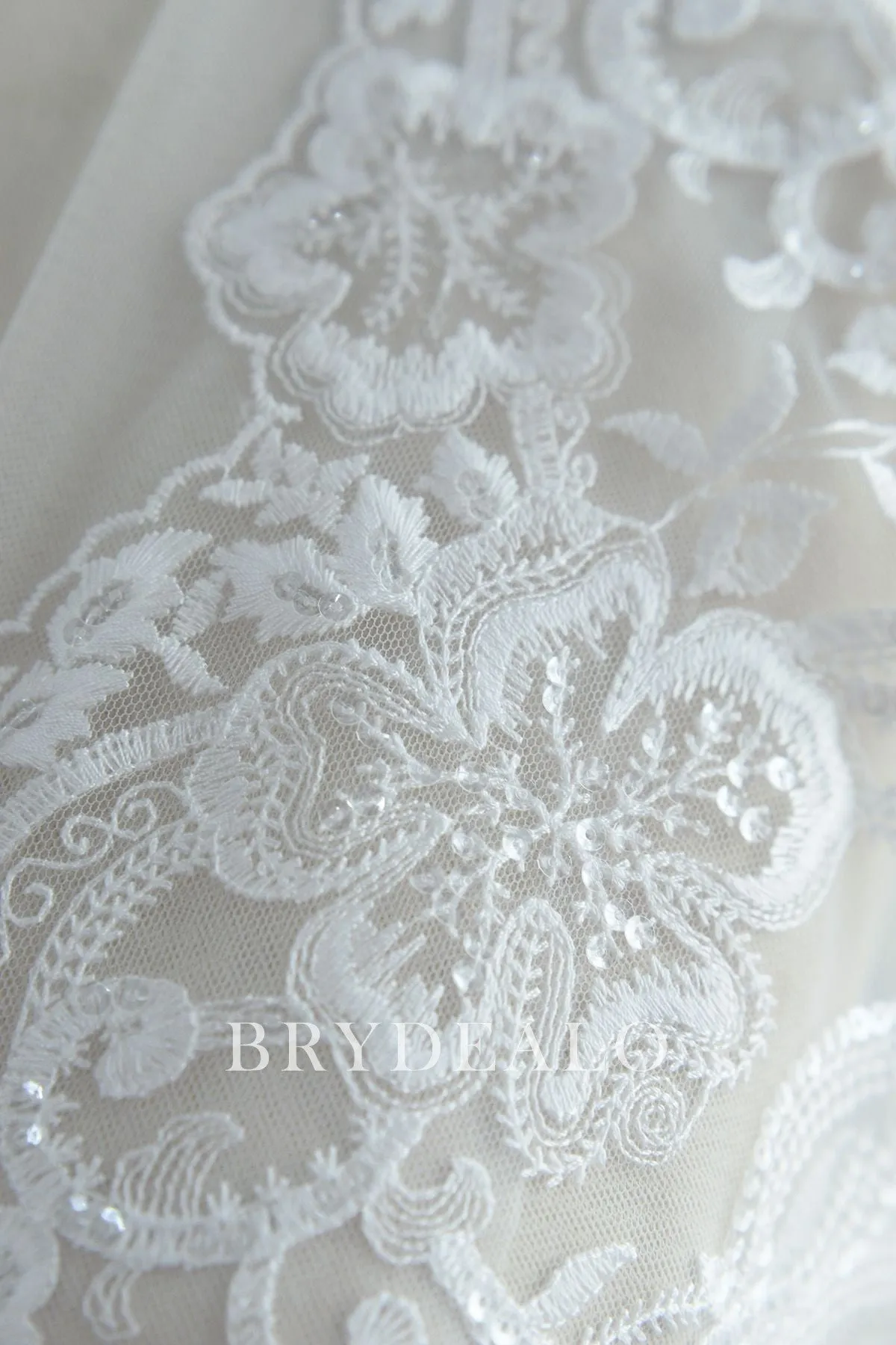 Beautiful Double Border Lace Fabric with Cording